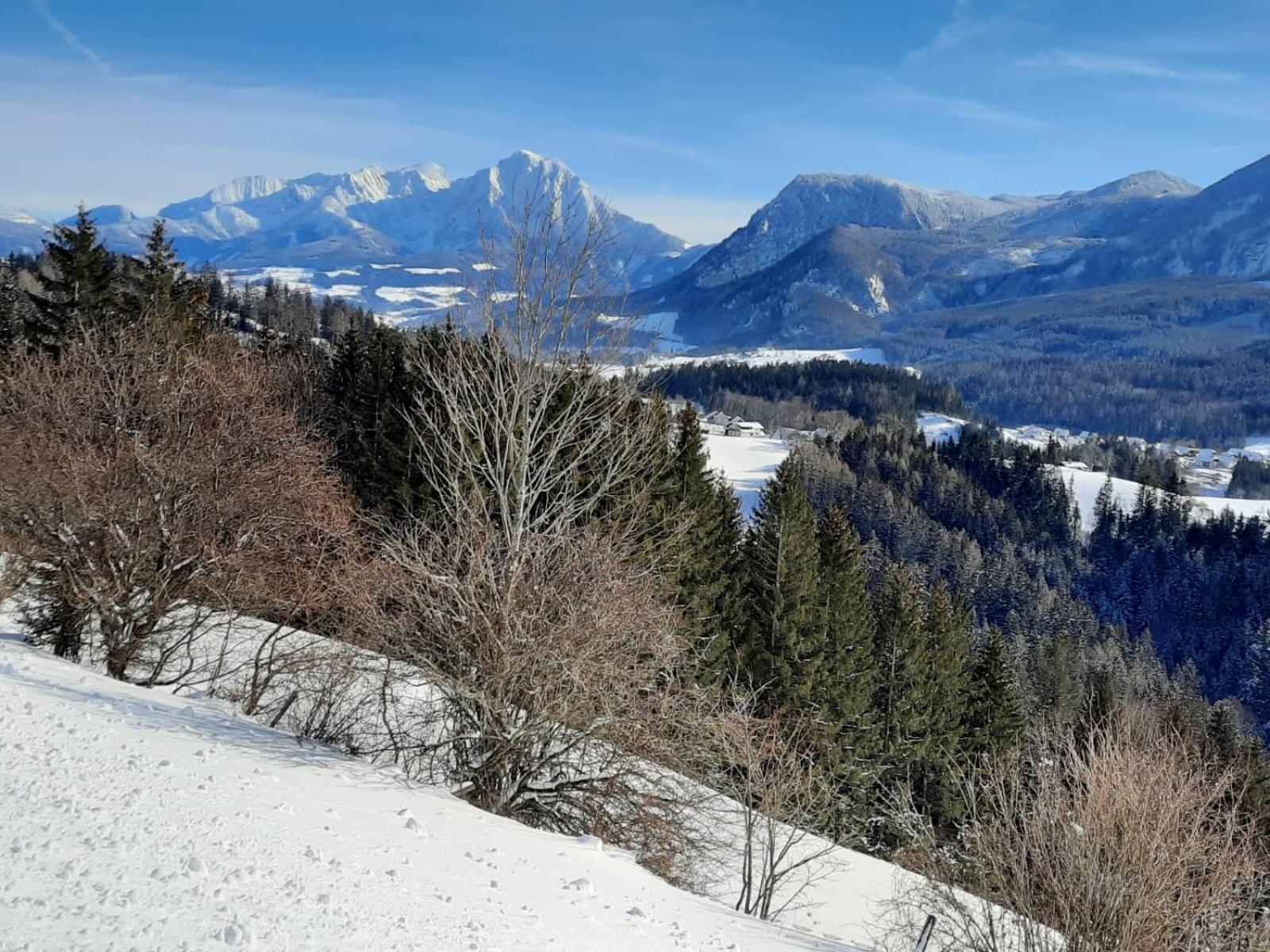 Pension Alpenhaus Vorderstoder Exterior foto